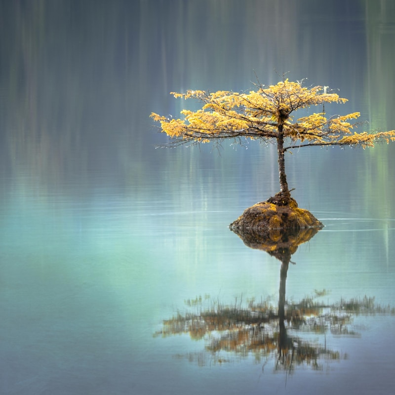 Guided meditation